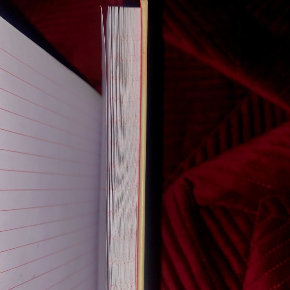 Remember This Moment Taylor Swift RARE Journal Hardcopy - Picture 4 of 5